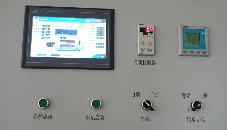 Low NOx Burner Project for Shandong Vland Biotech 8t/h Steam Boiler