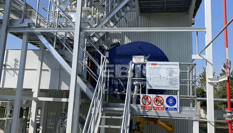 60 t/h Steam Boiler Low NOx Burner