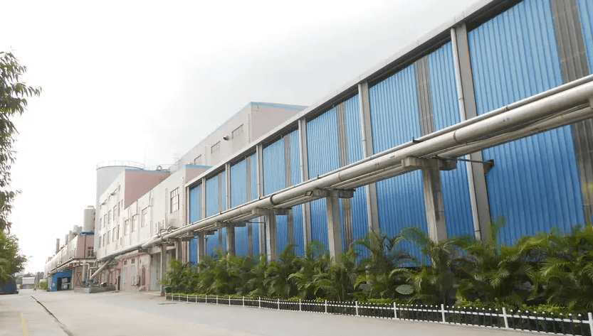 Daojiao Xinglong paper Factory co.