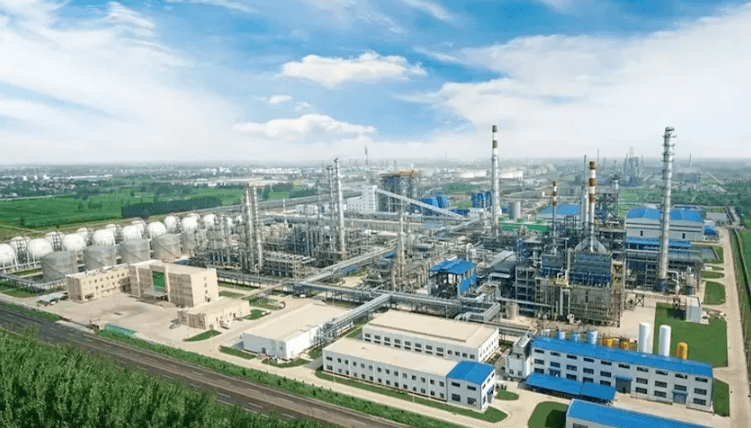 Shandong Dongming Petrochemical Group