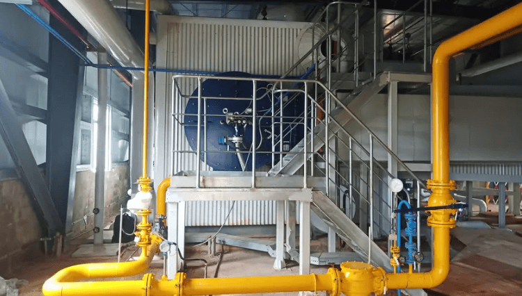 Datang Wanning 30t/h Gas Steam Boiler Ultra Low Emmission Power Generation Project