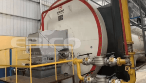 Xuzhou Fushan Medical 15 Million Kcal Thermal Oil Furnace Supporting Low Nitrogen Burner Project