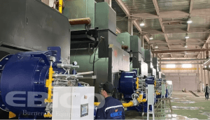 Shenyang Brilliance BMW’s 25-ton Steam Boiler Supporting Low-nitrogen Burner Project