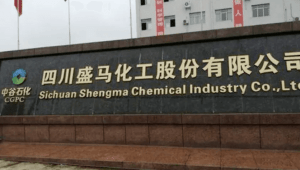 Low-Nitrogen Burner Project for Sichuan Shengma Chemical 24.5MW Natural Gas Machine Group