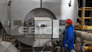 Low Nitrogen Transformation Project Of Sichuan New Torch 6T/H Steam Boiler Burner